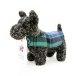 MacScottie Armstrong Paperweight